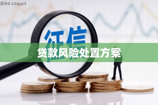 越西贷款风险处置方案