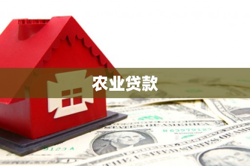 越西农业贷款