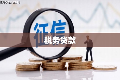 越西税务贷款