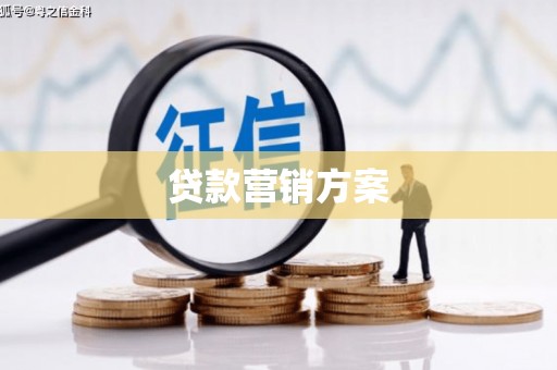越西贷款营销方案