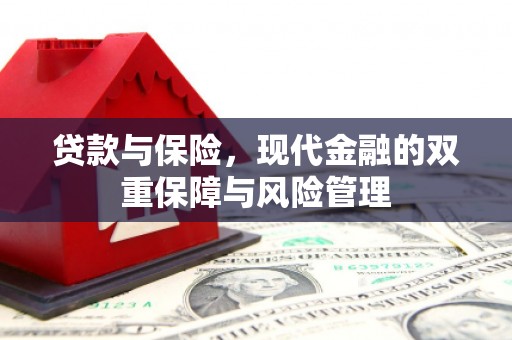 越西贷款与保险，现代金融的双重保障与风险管理