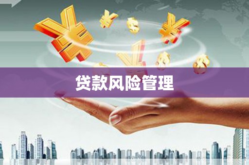越西贷款风险管理
