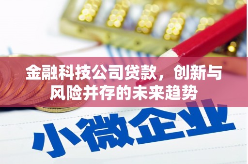 越西金融科技公司贷款，创新与风险并存的未来趋势