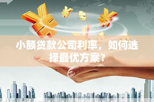 越西小额贷款公司利率，如何选择最优方案？