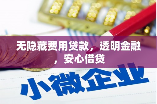 越西无隐藏费用贷款，透明金融，安心借贷