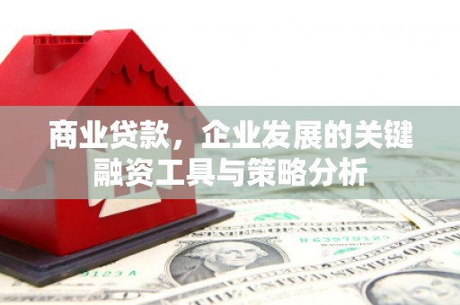 越西商业贷款，企业发展的关键融资工具与策略分析