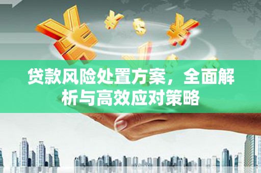 越西贷款风险处置方案，全面解析与高效应对策略