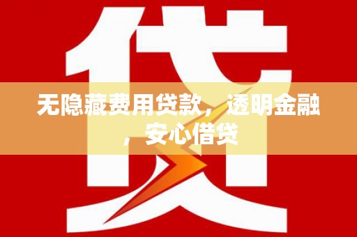 越西无隐藏费用贷款，透明金融，安心借贷