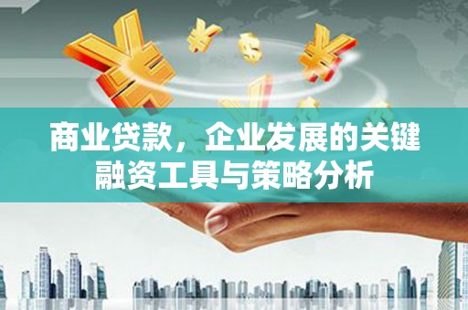 越西商业贷款，企业发展的关键融资工具与策略分析