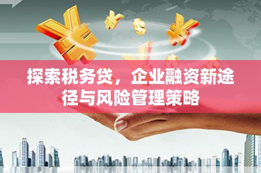越西探索税务贷，企业融资新途径与风险管理策略