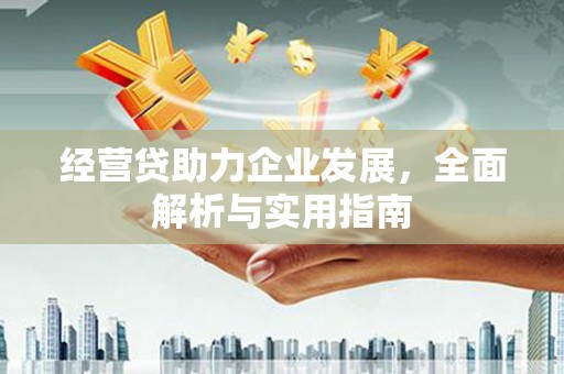 越西经营贷助力企业发展，全面解析与实用指南