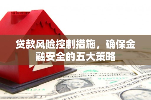 越西贷款风险控制措施，确保金融安全的五大策略