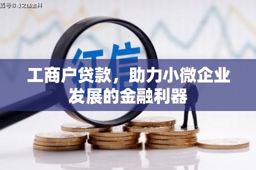 越西工商户贷款，助力小微企业发展的金融利器