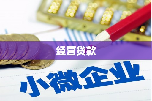 越西经营贷款
