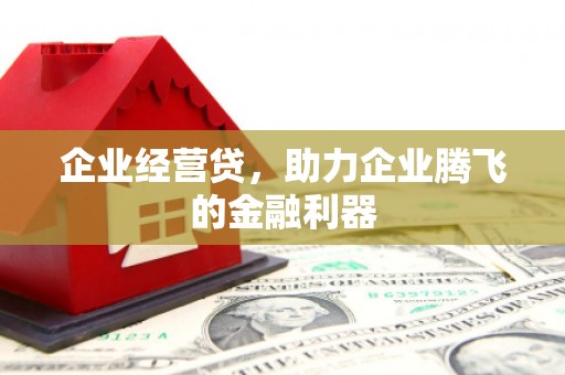 越西企业经营贷，助力企业腾飞的金融利器