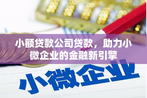 越西小额贷款公司贷款，助力小微企业的金融新引擎