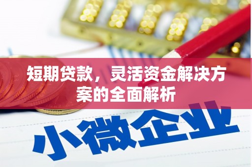 越西短期贷款，灵活资金解决方案的全面解析