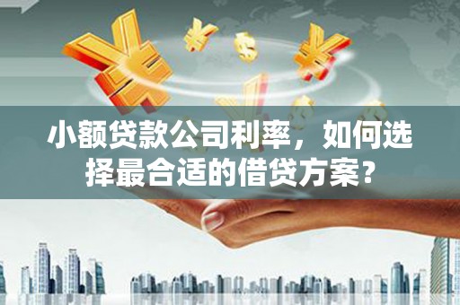 越西小额贷款公司利率，如何选择最合适的借贷方案？