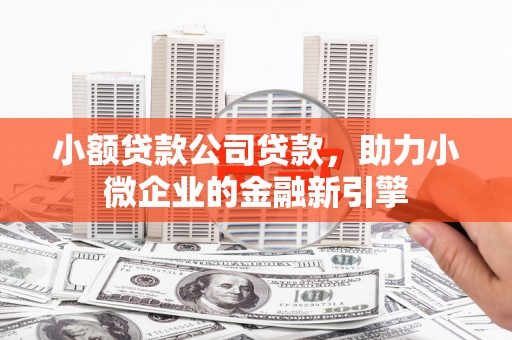 越西小额贷款公司贷款，助力小微企业的金融新引擎