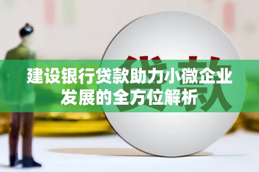越西建设银行贷款助力小微企业发展的全方位解析