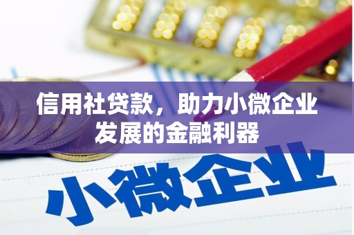 越西信用社贷款，助力小微企业发展的金融利器
