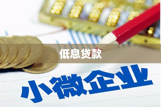 越西低息贷款