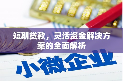 越西短期贷款，灵活资金解决方案的全面解析
