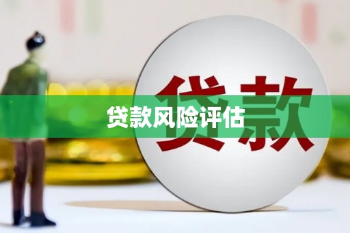 越西贷款风险评估