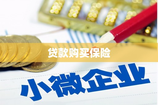 越西贷款购买保险