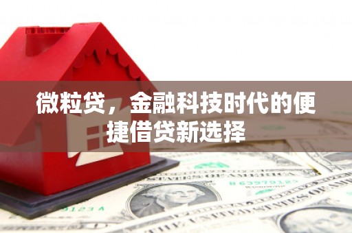 越西微粒贷，金融科技时代的便捷借贷新选择