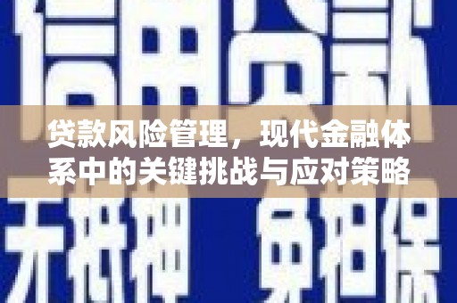 越西贷款风险管理，现代金融体系中的关键挑战与应对策略