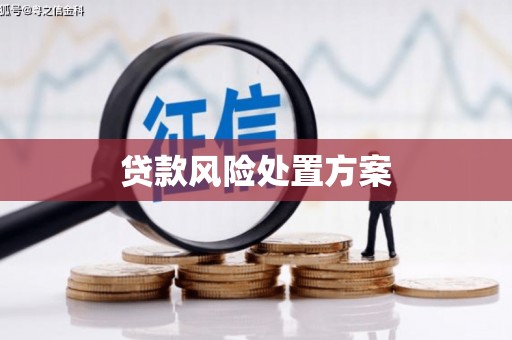 越西贷款风险处置方案