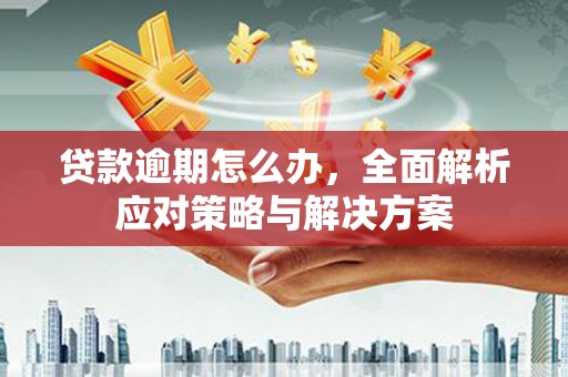 越西贷款逾期怎么办，全面解析应对策略与解决方案